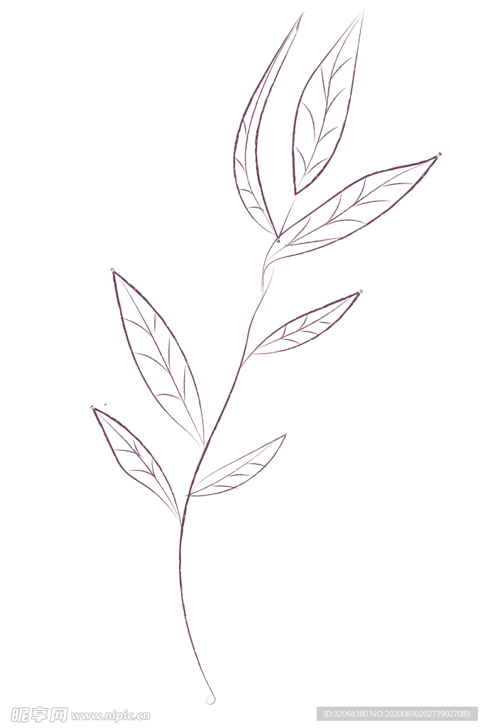植物手绘水彩