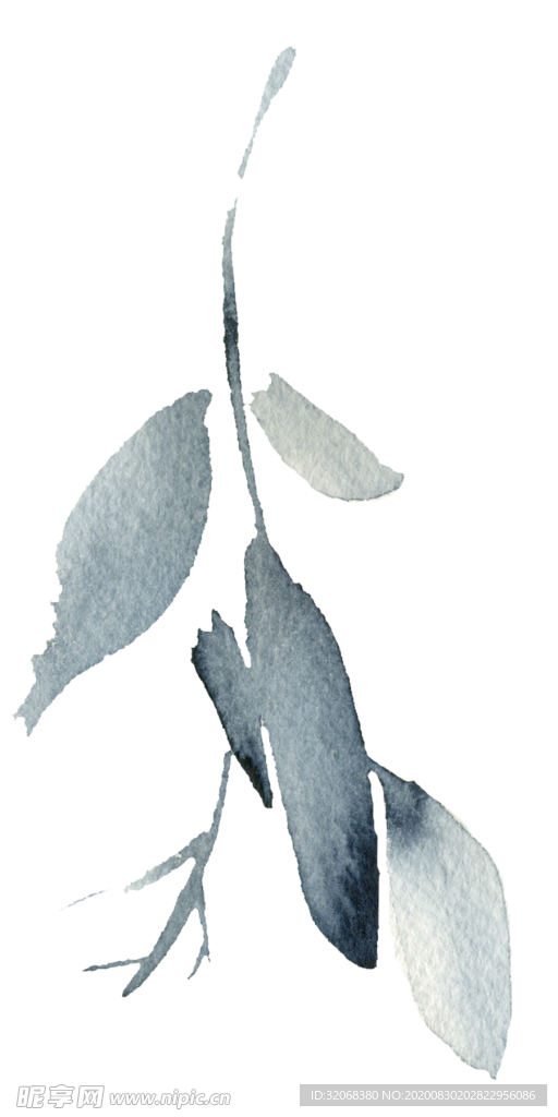 植物手绘水彩