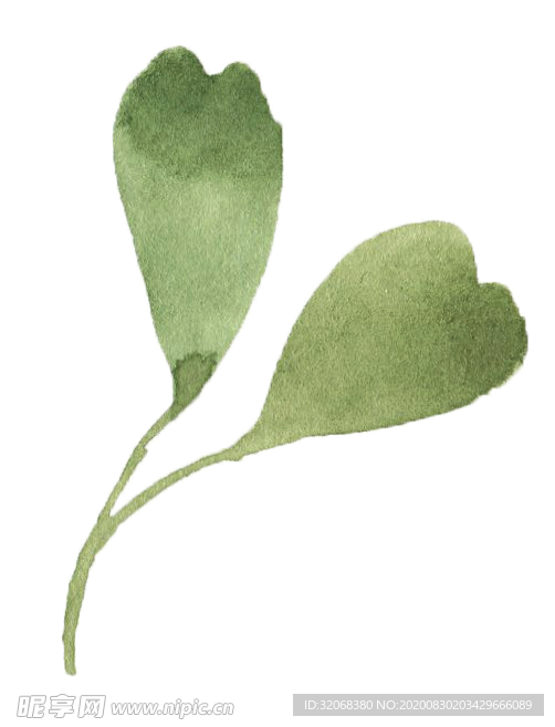 手绘植物花卉