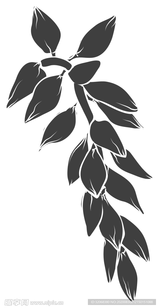 手绘植物花卉
