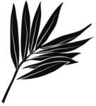 手绘植物花卉