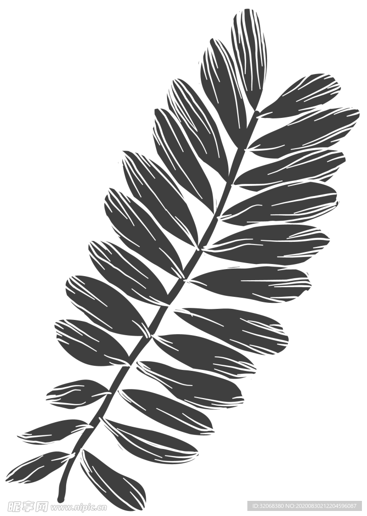 手绘植物花卉