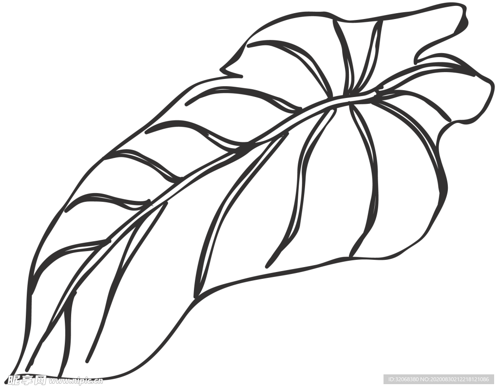 手绘植物花卉