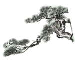 水墨中国风迎客松