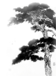 水墨中国风迎客松
