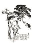水墨中国风迎客松
