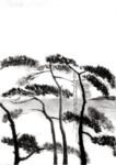 水墨中国风迎客松