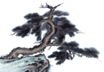 水墨中国风迎客松