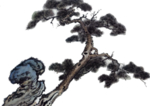 水墨中国风迎客松