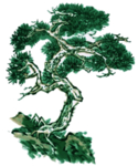 水墨中国风迎客松
