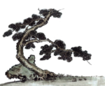 水墨中国风迎客松