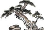 水墨中国风迎客松