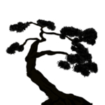 水墨中国风迎客松