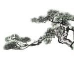 水墨中国风迎客松