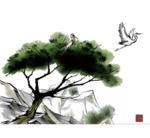 水墨中国风迎客松