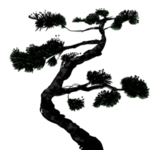 水墨中国风迎客松