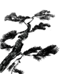 水墨中国风迎客松