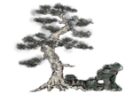 水墨中国风迎客松
