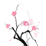中国风水墨梅