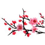中国风水墨梅