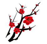 中国风水墨梅