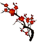 中国风水墨梅