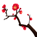 中国风水墨梅