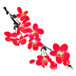 中国风水墨梅