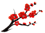 中国风水墨梅