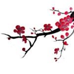 中国风水墨梅