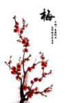 中国风水墨梅