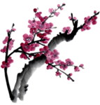 中国风水墨梅