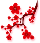 中国风水墨梅