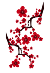 中国风水墨梅