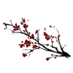 中国风水墨梅