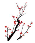 中国风水墨梅