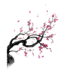 中国风水墨梅