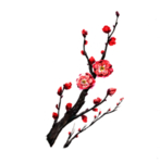 中国风水墨梅