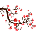 中国风水墨梅
