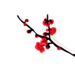 中国风水墨梅