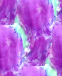 扎染