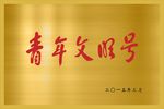 青年文明号钛金牌