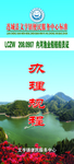 办理流程