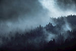 山