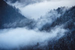 山