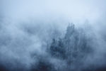 山