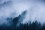 山