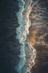 海洋