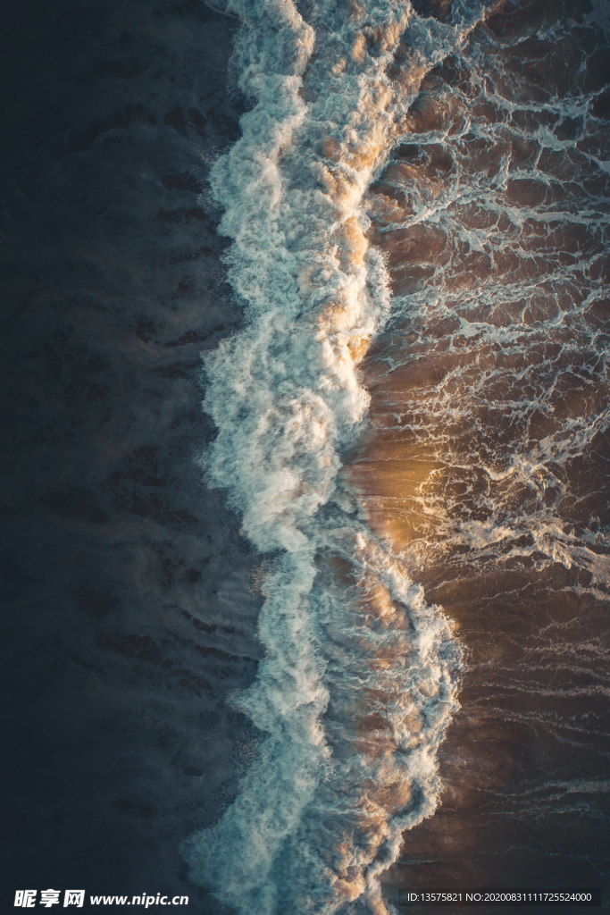 海洋