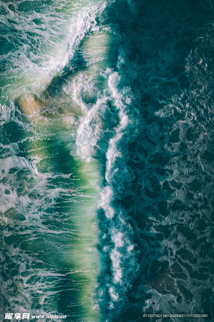 海洋